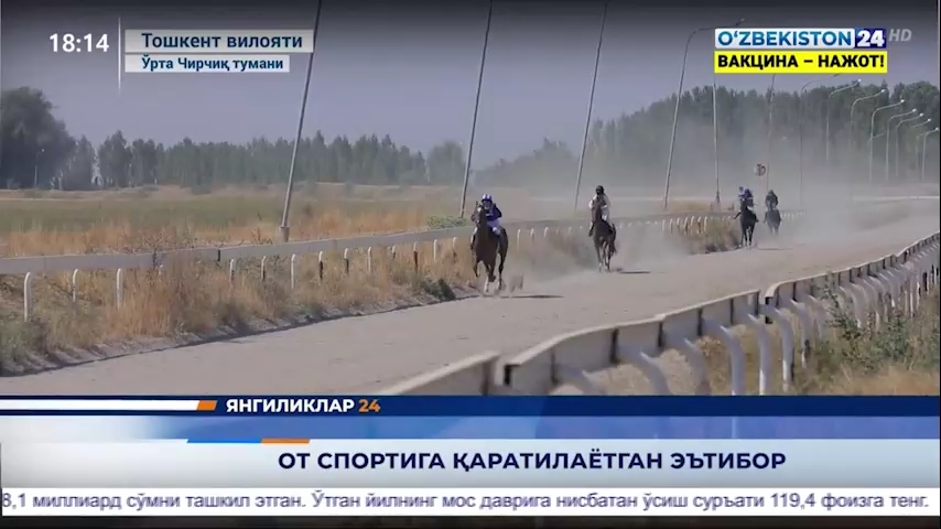 Yangiliklar 24 | Ot sportiga qaratilayotgan eʼtibor (15.08.2021)