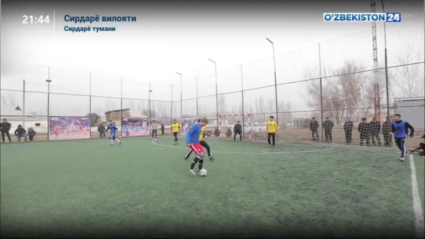 Axborot 24 | Sirdaryoda Yoshlar yetakchilarining faoliyatini tashkil etish bo‘yicha ko‘rgazmali tadbir