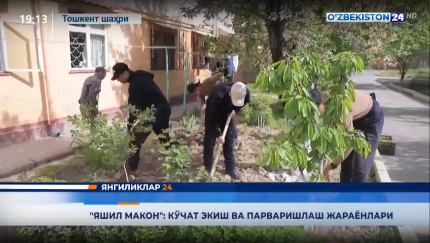 "Yashil makon": Ko‘chat ekish va parvarish qilish jarayonlari