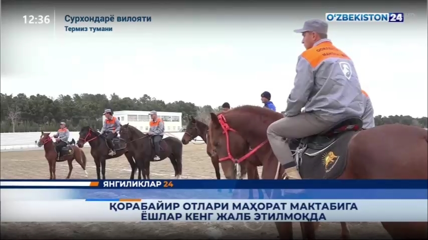 Yangiliklar 24 | Qorabayir otlari mahorat maktabiga yoshlar keng jalb etilmoqda