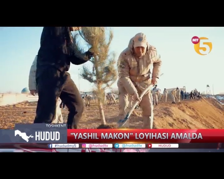 “Яшил макон” умуммиллий лойиҳаси амалда