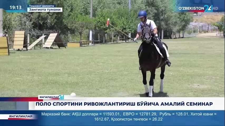 Yangiliklar 24 | Polo sportini rivojlantirish bo‘yicha amaliy seminar