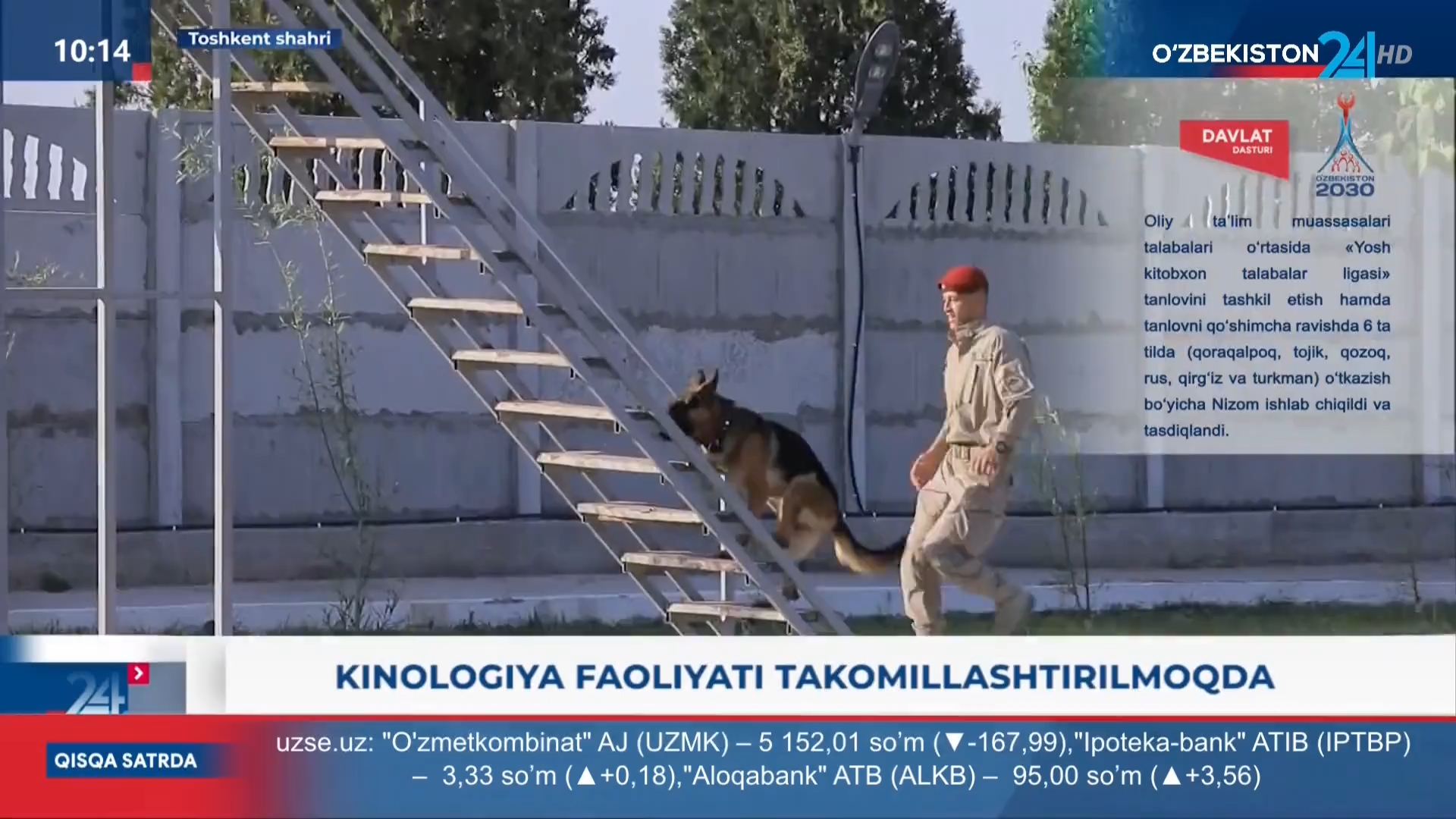 Ахborot 24 | Kinologiya faoliyati takomillashtirilmoqda